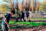 project